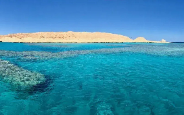 The Hill View Apartment