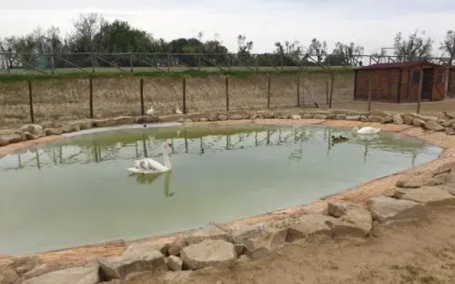 Agriturismo Colleoli