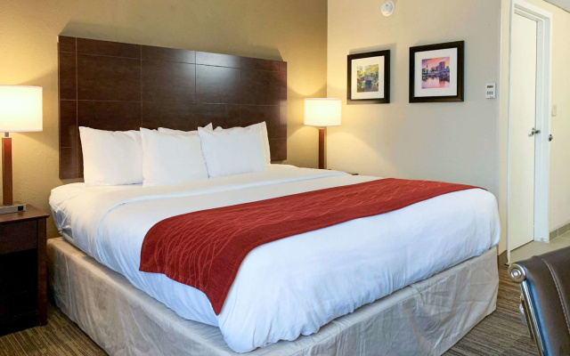 Comfort Inn & Suites East Hartford - Hartford