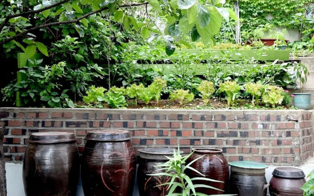 Photo Park Guesthouse