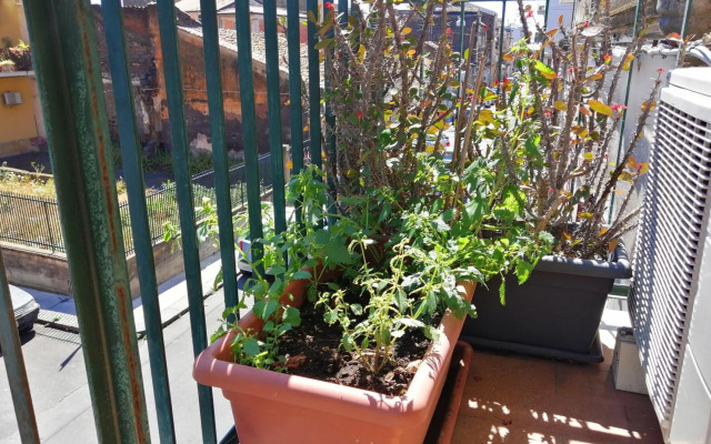 Nonno Francesco Rooms