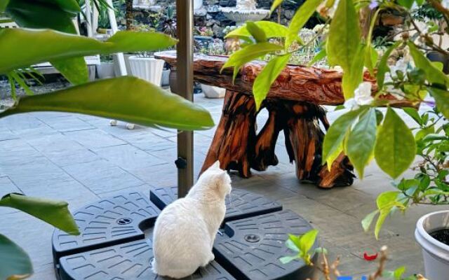 Three Cats Inn