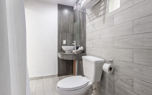 Hotel La Colección, Universidad de Guanajuato, Centro