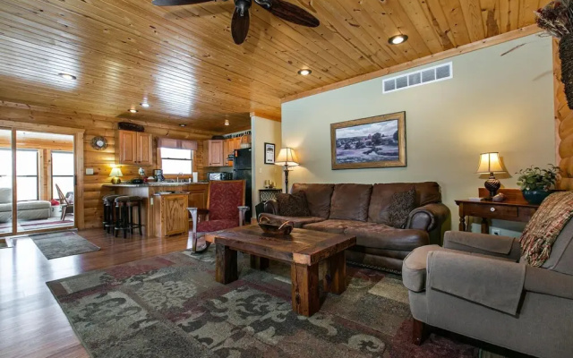Lorelei Cabins Aster