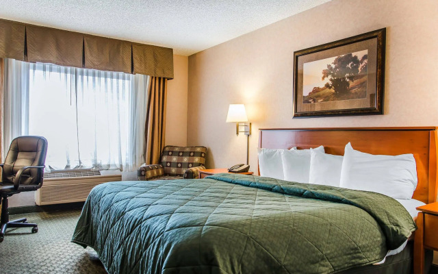 Quality Inn & Suites