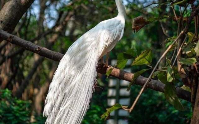 Royal Tusker Luxury Service Apartments