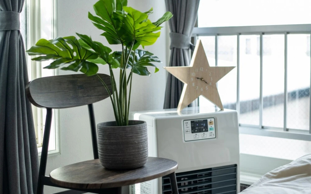 [204] Maison Junu D 204