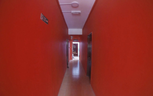 Fat Rhino Hostel