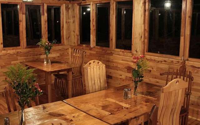 Sycamore Avenue Treehouses