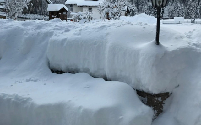 Pony-Ziegen-Hasen-Ranch Bichlbach