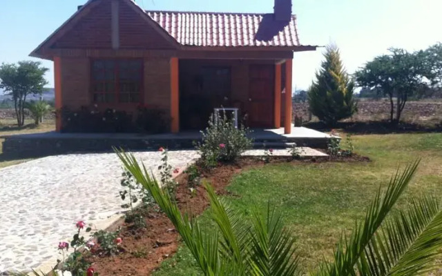 Cabañas las Palmeras