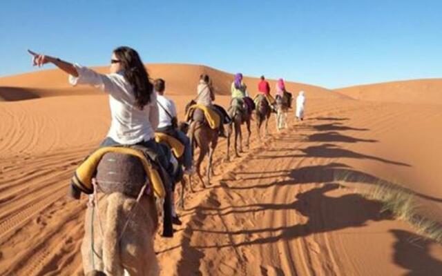 Bivouac Camel Trips
