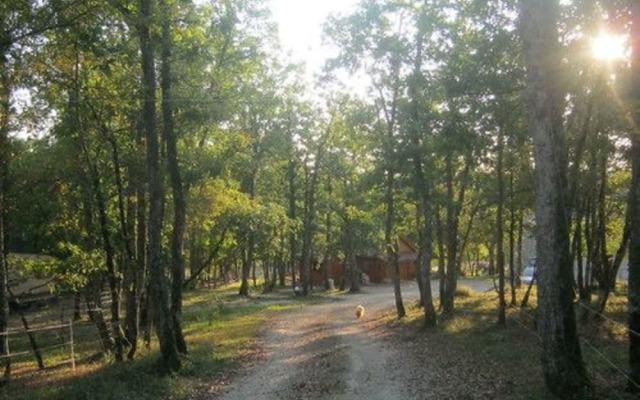 Chalet dans les bois du Quercy