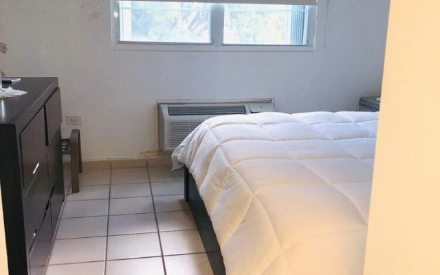 Suburb Pethouse Apartment