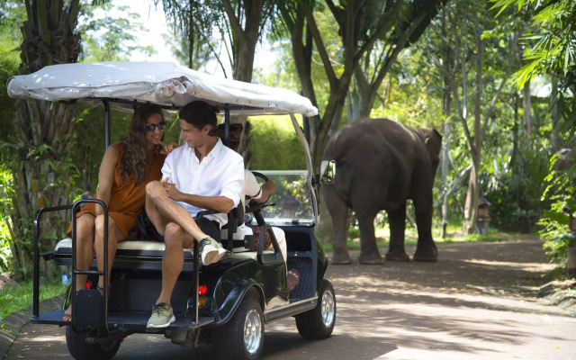 Sanctoo Suites and Villas