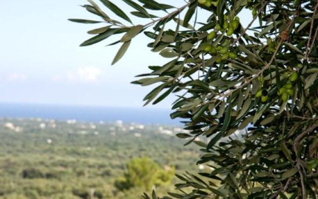 Il Trullo BB