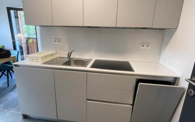 Golte - A2 Apartment - ski in/Out