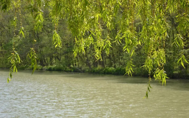 Oasis Beach Apartments Kamchia