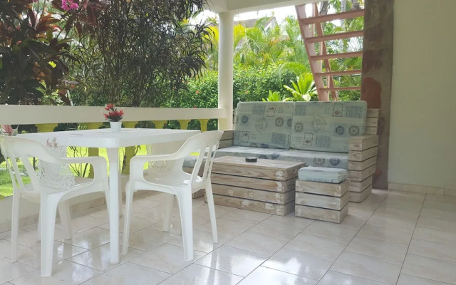 Oasis Tropical