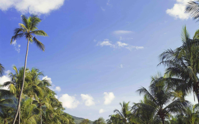 Nisbet Plantation Beach Club