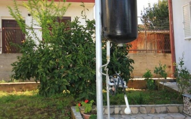 Rosemary - Gorgeous Garden - A1