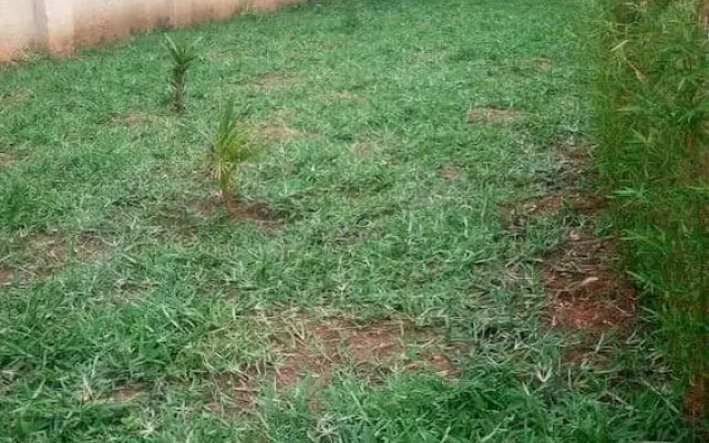 The Hashtag Guest House