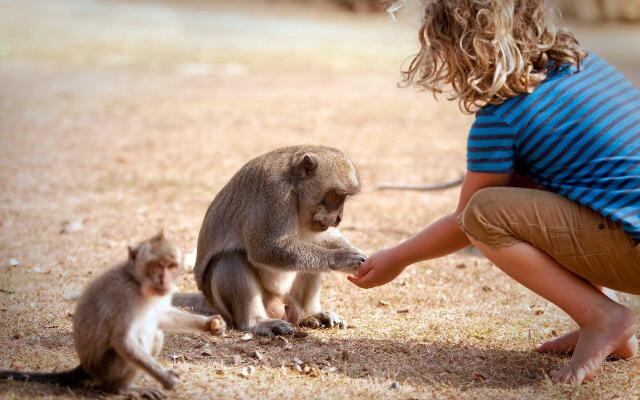 Novotel Lombok Resort and Villas
