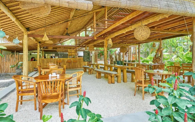 Pazzo Bali