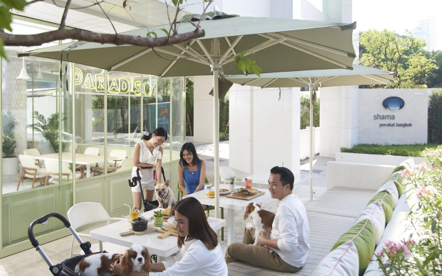 Shama Yen-Akat Bangkok