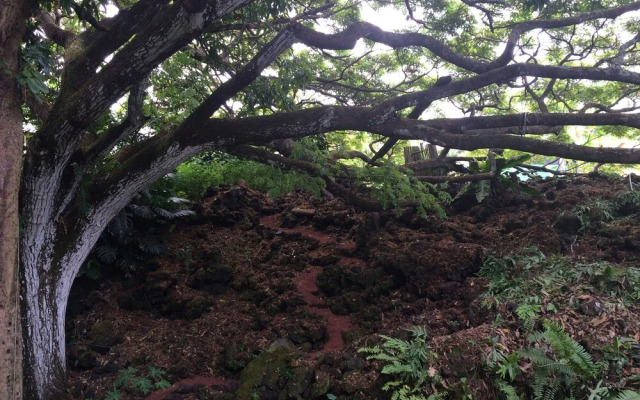 SweetSpotStay-Enchanted Grotto