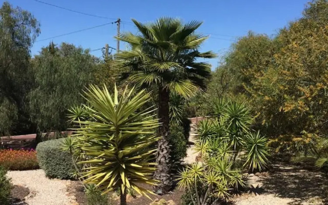 Serena Magnificent Four Bedroom Villa