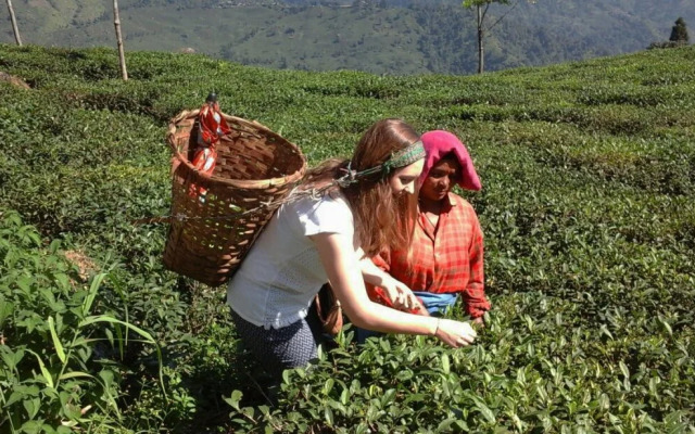 Goomtee Tea Garden Retreat