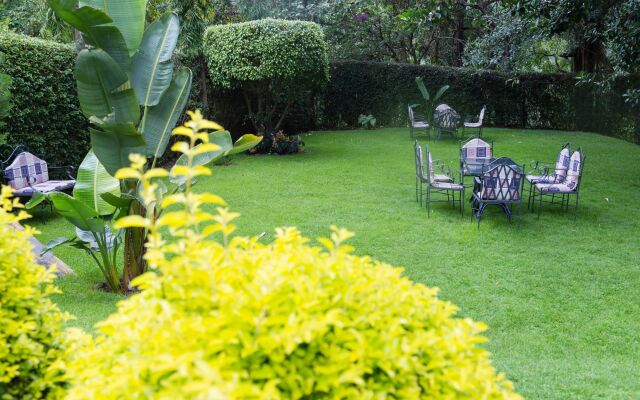 Aishi Machame Hotel