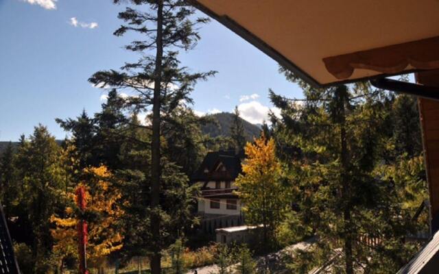 Apartamenty Bory przy lesie