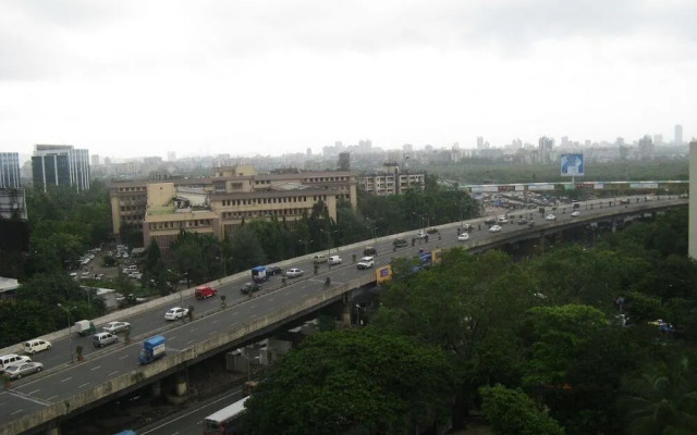 Humming Bird - Sai Prasad