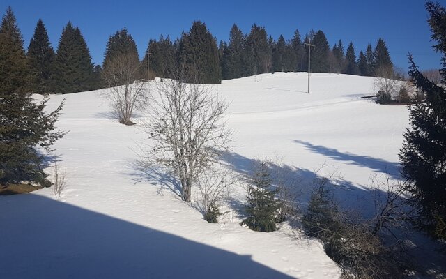 Chalet Alpenveilchen