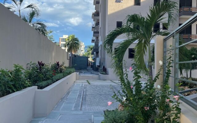 Paddington Terrace Oasis