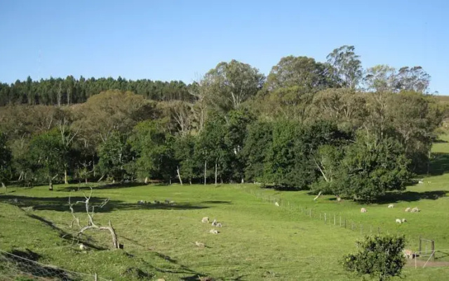 Coldsprings Lodge
