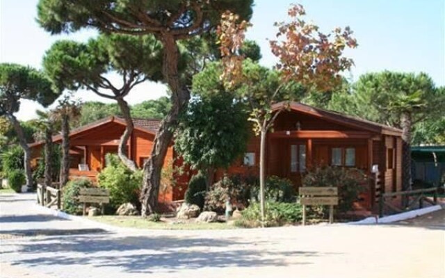 Camping Playa La Bota