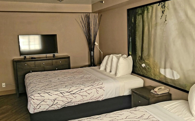 Surestay Plus Hotel By Best Western El Cajon