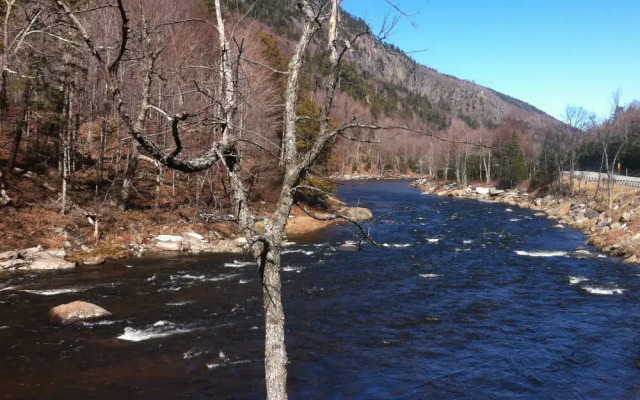 Whiteface Farm Adirondack Bed and Breakfast