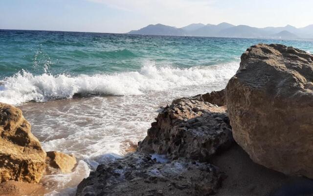 Villa Maupassant 06 Cannes