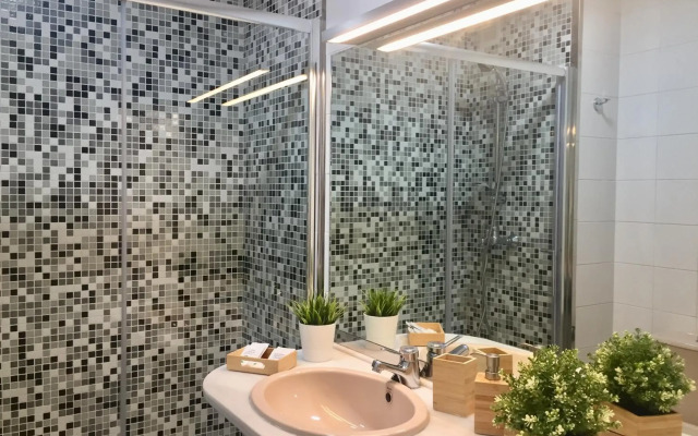 Catedral Centro Histórico