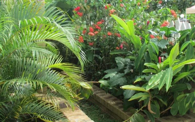 Tunas Lodge