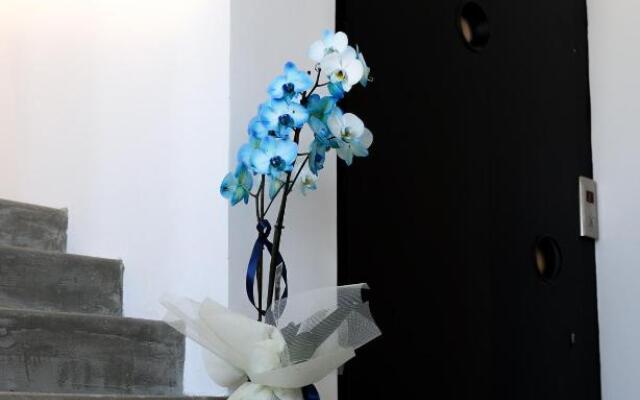 Executive suites @ apartments