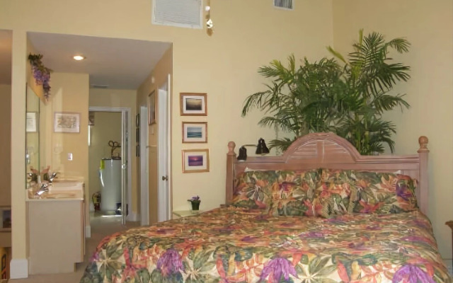 Barrier Dunes 408 71 Starry Night