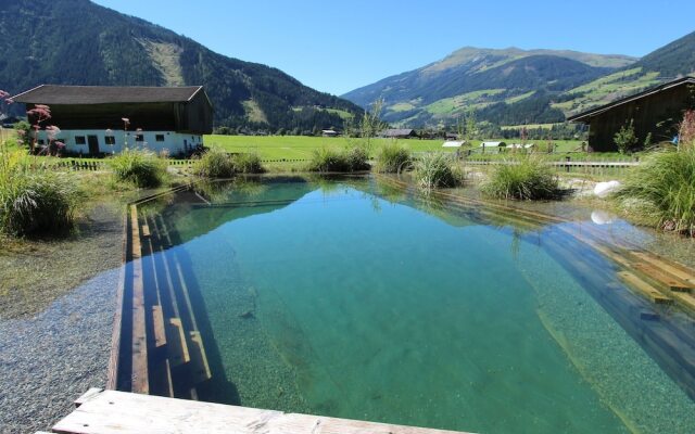 Charming Holiday Home With Private Swimming Pool in Salzburg