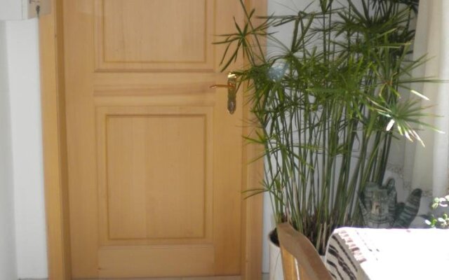 Hotel Brienz