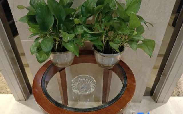 Qiqihar Junyi Apartment