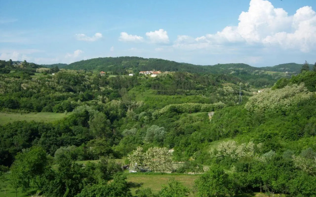 Apartment Kaštel